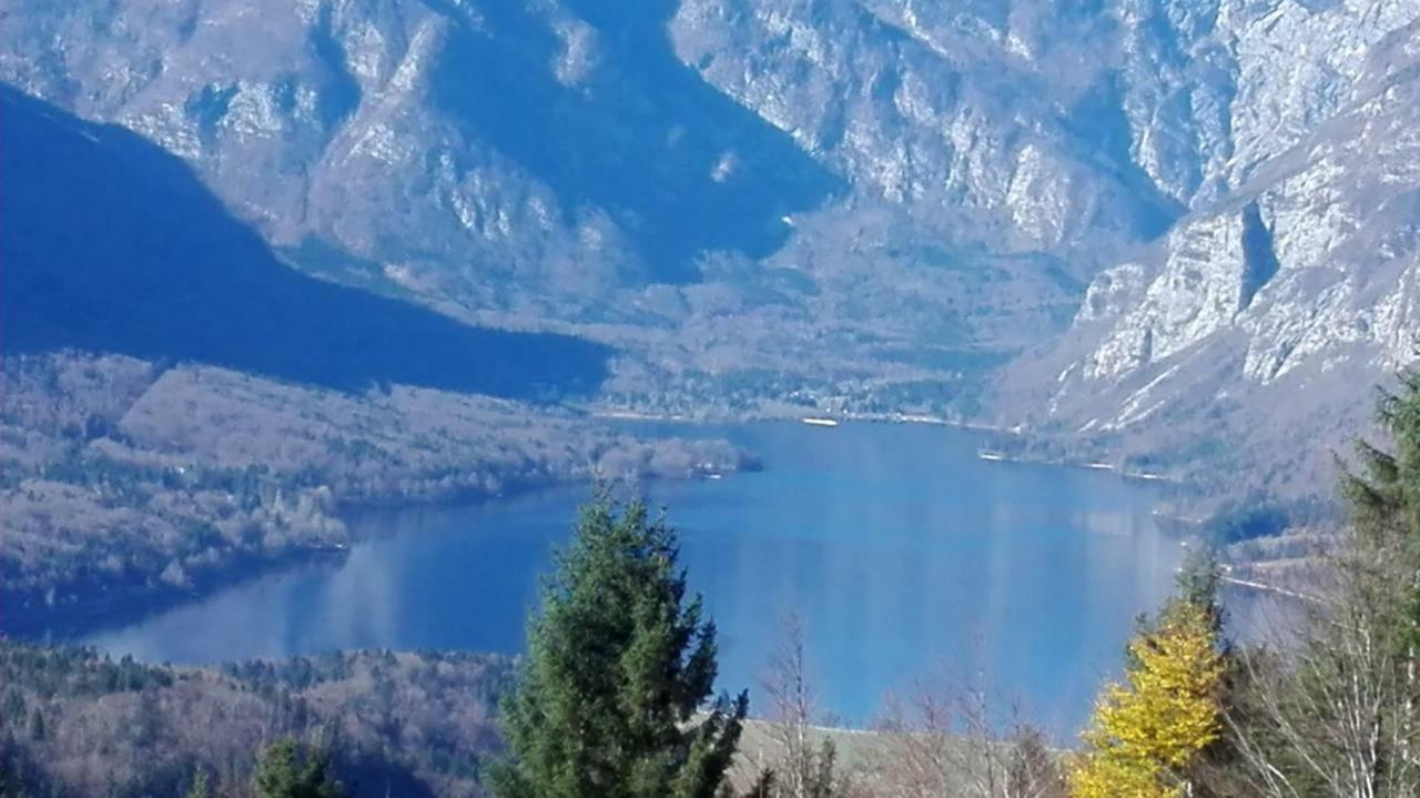 Apartmaji Korosec Na Koprivniku Apartment Koprivnik v Bohinju Bagian luar foto